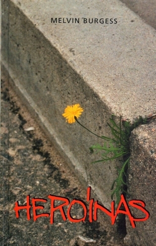 Heroinas: romanas / Melvin Burgess; iš anglų kalbos vertė Andrius Patiomkinas. - Vilnius: Alma littera, 2002. - 300 p.